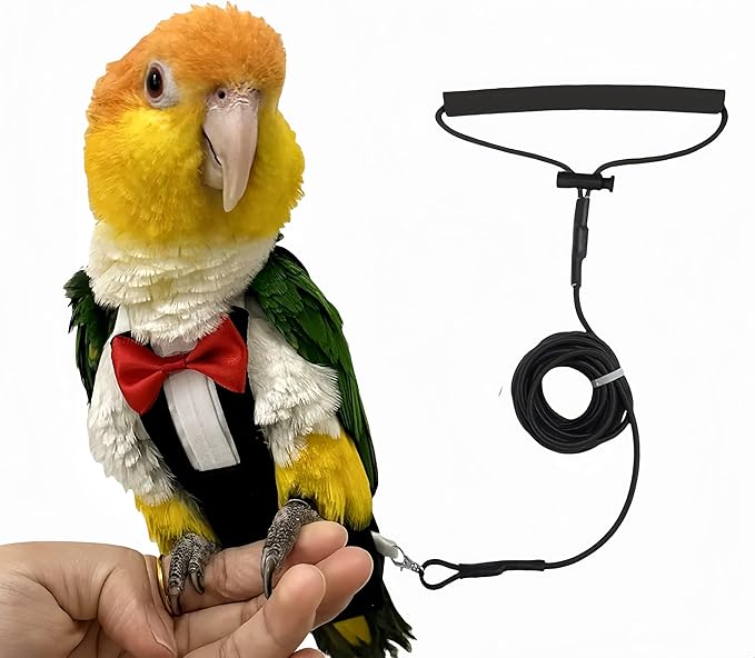 Bird Harness Leather Set Tuxedo Flight Suits with Nappy Diapers Waterproof Inner Layer Urine Wet for Parrot Cockatiel Conure Parakeet Macaw Budgie (XL)