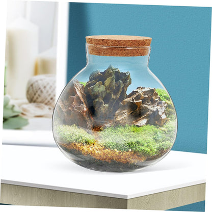 HYTROVE Terrarium Plant Decor Holder Glass Jar Moss Plant Bottle Micro Landscape Planter Bottle DIY Cork Glass Eco for Home Decor