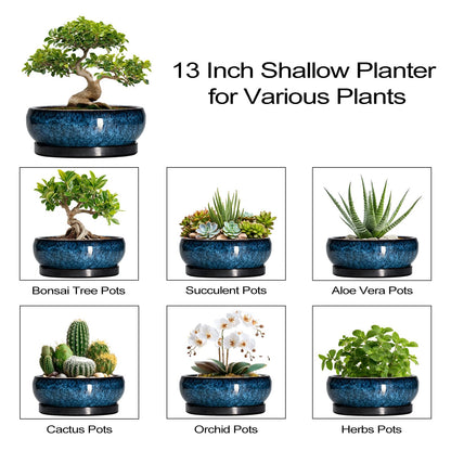 EPFamily Bonsai Pots - 13 Inch Ceramic Succulent Pots for Indoor Outdoor, Large Succulent Planter with Drainage Hole and Saucer, Round Shallow Flower Planters, Porch Decor, Gardening Gifts, Blue