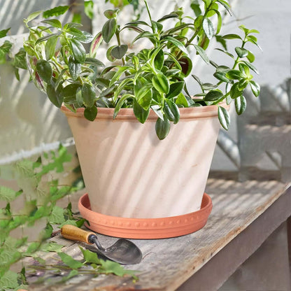 YBX 8-inch Plant Saucer Premium Terracotta Saucer Round Ceramic Plant Trays, Pack of 2 (Nature/Terracotta)