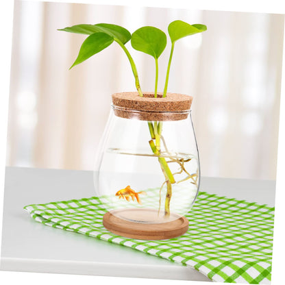 GANAZONO 1set Delicate Glass Terrarium Planter Bamboo Tray Hydroponic Landscape Bottle for Indoor Plants Compact Micro Ecosystem Decor for Home and Office