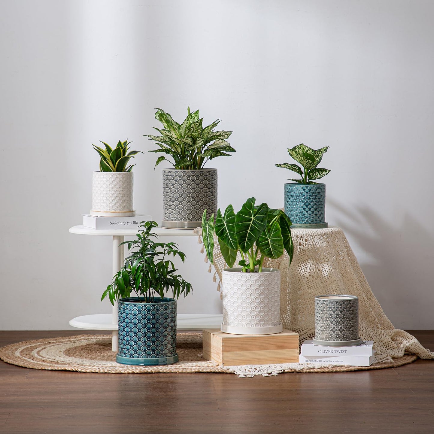 Chubacoo 6 Inch Plant Pot: Ceramic Planter with Drainage Hole & Saucer Indoor Outdoor Plants - Cylinder Round Flower Pot for Home Office - Modern Decorative - Small White