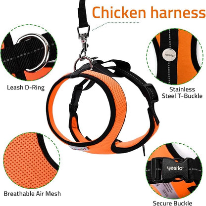 Adjustable Chicken Harness Diaper (5.4ft Leash) – Breathable & Washable Secure Training for Hens, Ducks & Chicks | Outdoor Walking & Discipline Solution