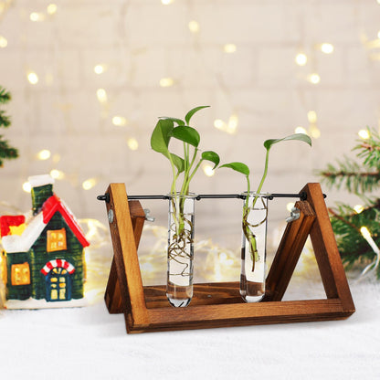 TOYANDONA 5pcs Glass Propagation Tubes for Plants Small Hydroponic Test Tube Vases for Flowers Home Decoration Plant Terrarium Station 2.5x3x11cm