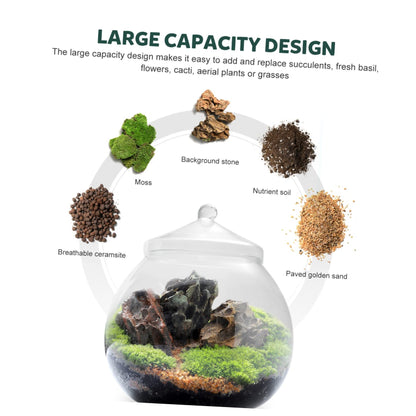 1Set Micro Landscape Bottle for DIY Terrarium Crafts Glass Eco Bottle with Style Lid Indoor Home Decor Creative Plant Display for Moss Miniature
