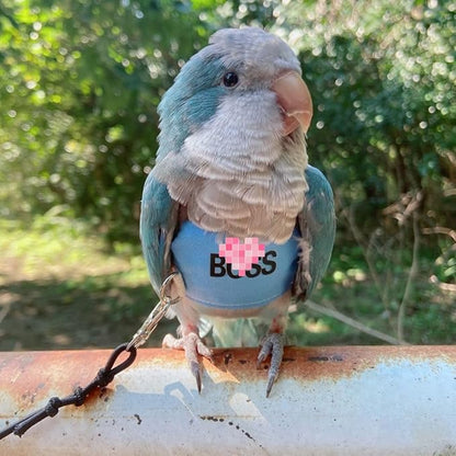 Bird Flight Harness Vest, Parrot Flight Suit with Leash, Bird Flying Clothes with Rope and Handle for Outdoor Activities (M)