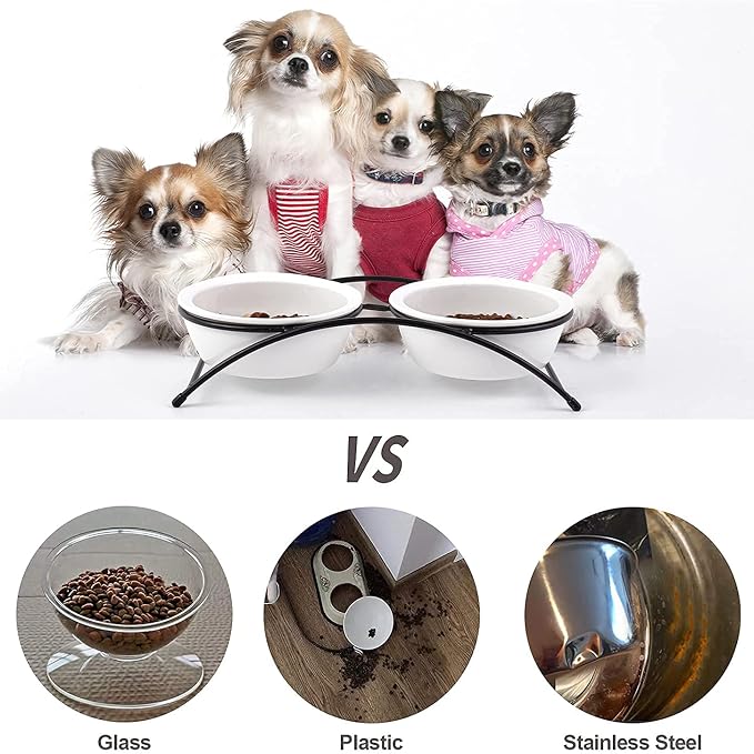 Cat & Dog Bowls - Ceramic Elevated Pet Raised Cat Food Bowls, 12 Ounce, Dishwasher Safe