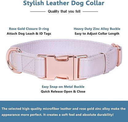 Soft Leather Dog Collar and Leash (6.6') Set - Stylish Rose Gold Heavy Duty Metal Buckle, 4 Adjustable Lengths Leash for Small Medium Large Dogs - Comfortable & Easy to Clean XS(8"-12"), Gold Pink