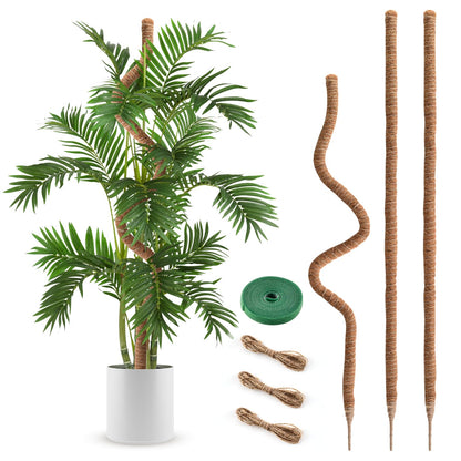 3 Pack Moss Pole 63 Inch Monstera Plant Support Moss Poles Bendable for Climbing Plants Longer Coco Coir Sticks Support Stakes Tall for Indoor Creeper DIY Shape Plants Grow Upwards