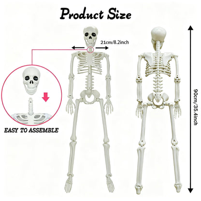 LUKBERA 2 Pack 3 ft Halloween Skeleton Posable, 36” Full Body Human Skeleton with Movable Joints for Halloween Haunted House Graveyard Party Scary Indoor Outdoor Decor