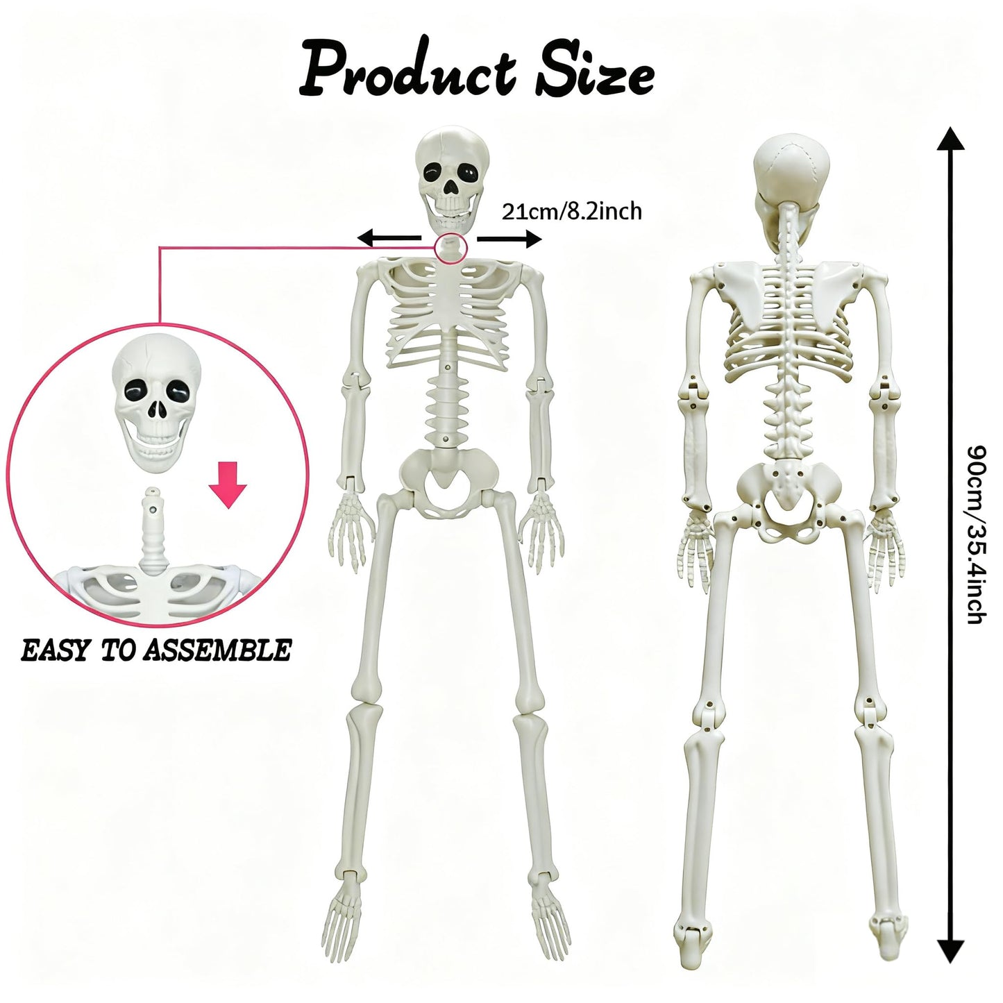 LUKBERA 2 Pack 3 ft Halloween Skeleton Posable, 36” Full Body Human Skeleton with Movable Joints for Halloween Haunted House Graveyard Party Scary Indoor Outdoor Decor