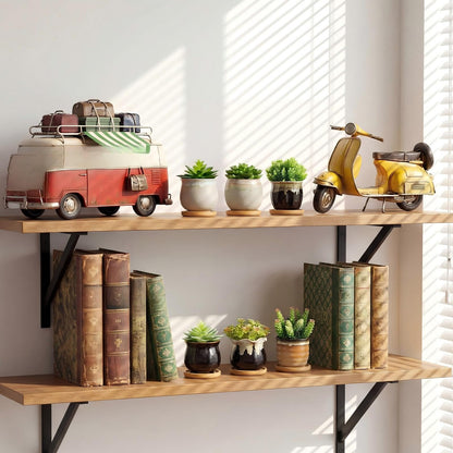 Remerry 6 Pcs Small Succulent Pots Bulk with Drainage Assorted 3.5 Inch Mini Ceramic Succulent Planters Pot with Coaster Bamboo Plant Tray Planting Pots for Home Office Garden