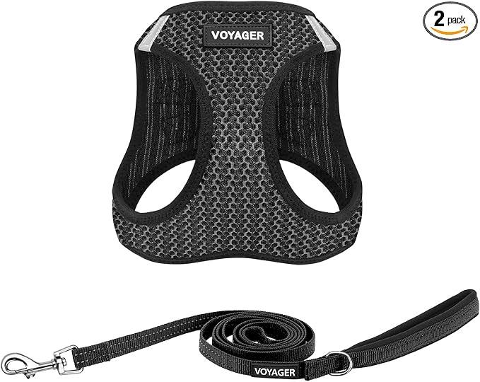 Best Pet Supplies Voyager Step-in Air All Weather Mesh Harness and Reflective Dog 5ft Leash Combo with Neoprene Handle, for Small, Medium and Large Breed Puppies - Set (Gray 2-Tone), Large
