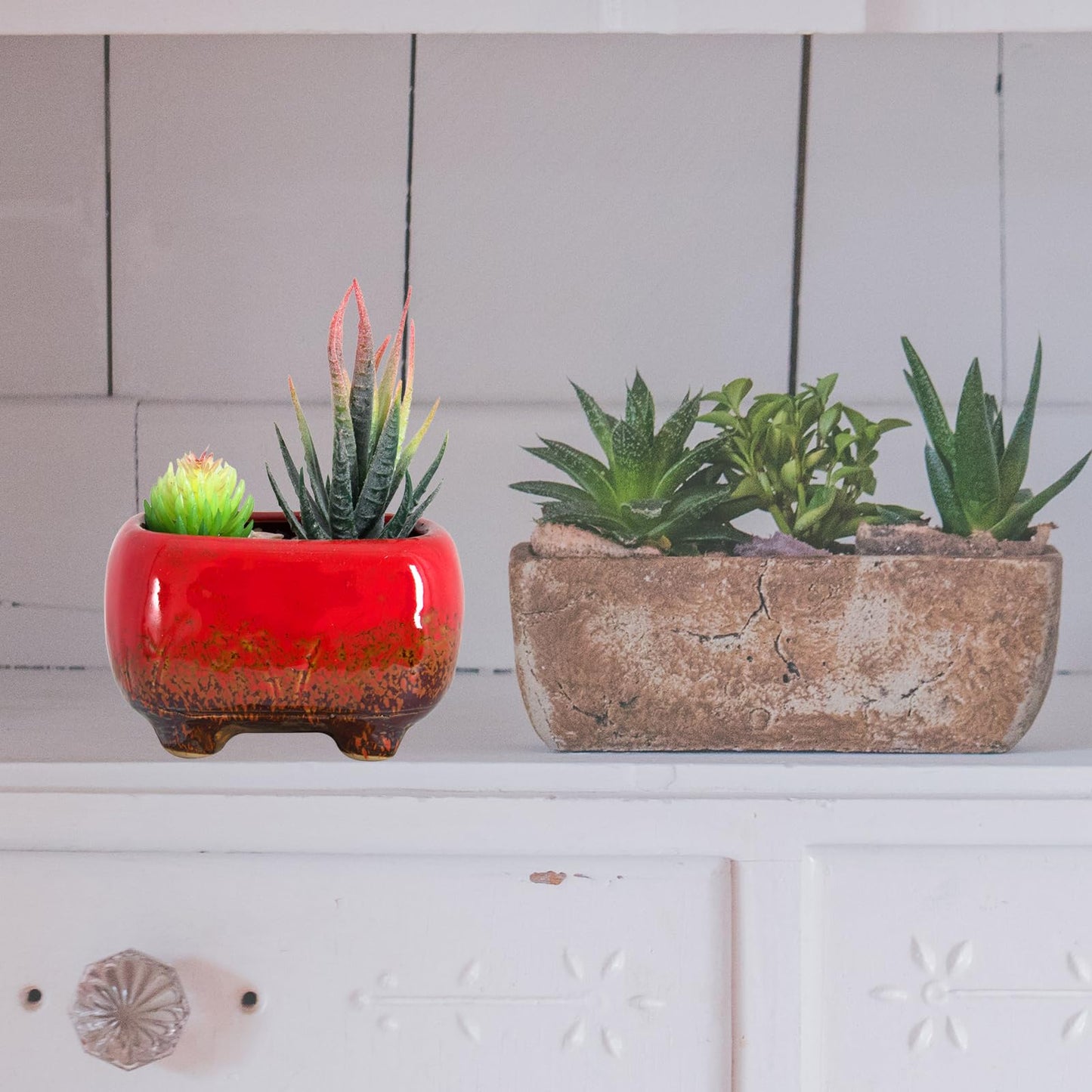 ARTKETTY Succulent Pots - Small Succulent Plant Pots with Drainage Set of 6, Ceramic Cactus Planter Pots for Indoor Unique Flower Planter Container for Home Office Decor