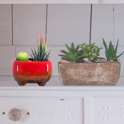 ARTKETTY Succulent Pots - Small Succulent Plant Pots with Drainage Set of 6, Ceramic Cactus Planter Pots for Indoor Unique Flower Planter Container for Home Office Decor