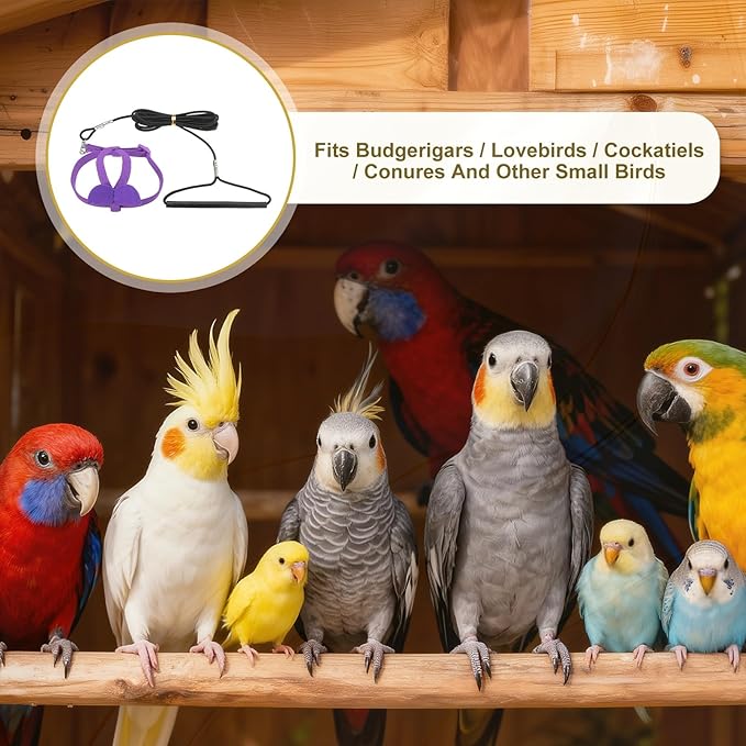 Bird Harness Leash, Adjustable Pet Parrot Bird Harness and Leash Lightweight Anti-Bite Flight Training Rope with Cute Wing, (Purple, XS), Intended for Parrots/Pigeons/Budgies