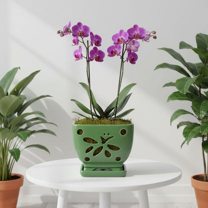 Grdthzey Orchid Pots with Holes Square Ceramic Orchid Planter Pots 5.5 inch (Green)