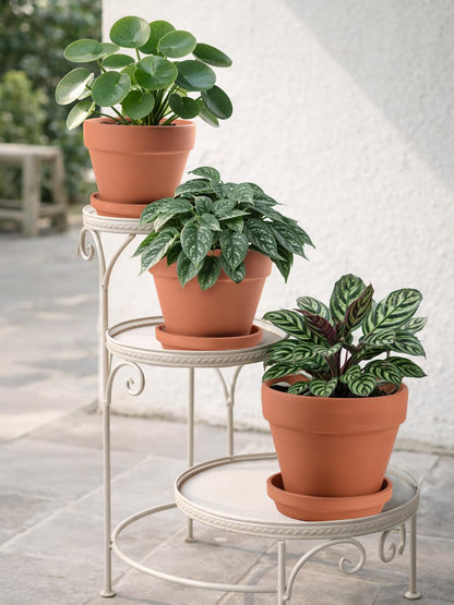 INGOFIN Terracotta Pots Set with Saucer - 5/6/7 inch Ceramic Clay Planters with Drainage Hole, Garden Flower Succulent Pots with Tray for Indoor Outdoor Plants, Set of 3
