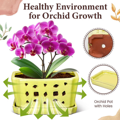 Teenyyou 1 Set Orchid Pot with Holes 9.5 Inch Ceramic Orchid Pot with Saucers for Repotting Amaryllis Flower Planter Include Gardening Shovel Set and Gloves for Home Decor(Yellow)