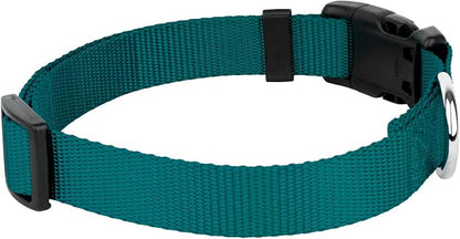 Country Brook Petz - Everyday Nylon Dog Collar and Leash - 10+ Cool Colors (3/8 Inch, Extra Small, Teal)