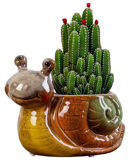 Ruoxian Cute Animal Shaped Planter Flower Pot Frog Shape Small Succulent pots with Drainage Ceramic Animal Planter (Snail)
