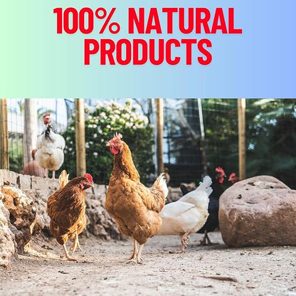 Limestone Grit Minerals, High Calcium Supplement, Designed to Promote Strong Bones, Better Digestion, and Overall Well-Being for Pigeons, Small Cage Birds, Duck and Chickens 3 Pounds Bag