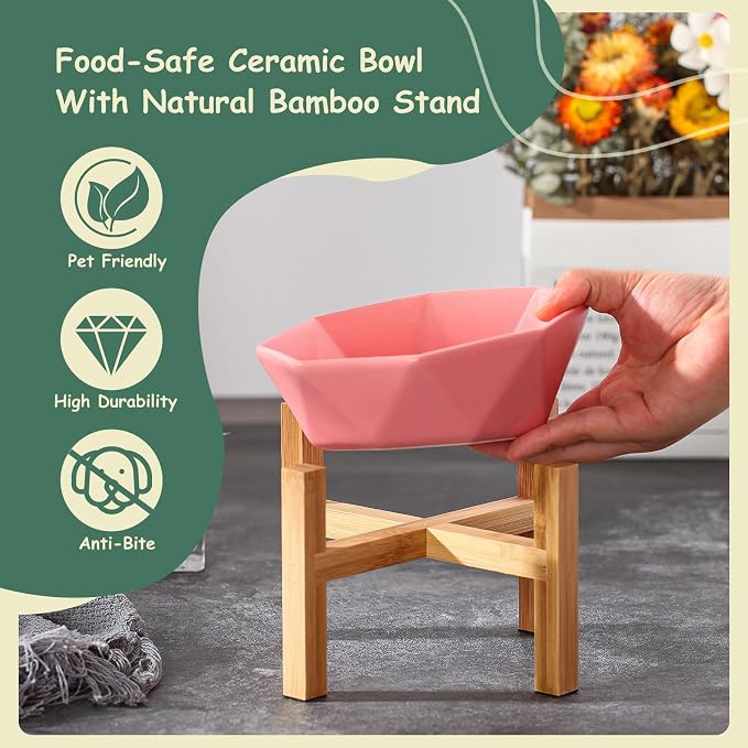 Green with Stand Ceramic Tilted Elevated Raised Pet Bowl with Bamboo Stand for Cats and Dogs No Spill Pet Food Water Feeder