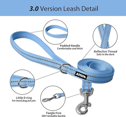 AIITLE Step in Dog Harness and Leash Set - No Pull Escape Proof Vest Harnesses with Soft Mesh and Reflective Bands, Adjustable Pet Outdoor Harnesses for Small and Medium Dogs Blue M