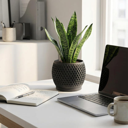 Fabix3D Plant Pots, Modern 3D Printed Honeycomb Planters for Indoor Plants, 4.7 Inch Matte Black Decorative Flower Pot for Office Desktop, Bookshelf & Home Decor, Lightweight & Durable.