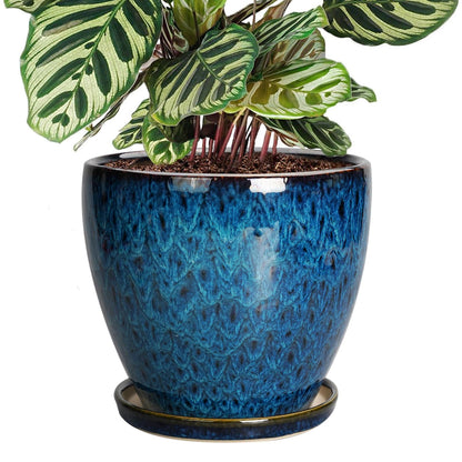 EPFamily 8 Inch Ceramic Planter Pot with Drainage Hole and Saucer, Ceraimc Plant Pot Round Flower Pot for Indoor Plants Outdoor Garden Planter, Blue