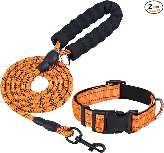 Dog Leash and Collar Set – 6 FT Strong Rope Leash with Padded Handle & Adjustable Nylon Collar Reflective for Small Medium Large Dogs (Orange, S)