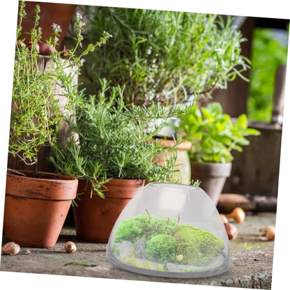 HANABASS Simple Plant Terrarium Glass Moss Micro Landscape Bottle for Home Decor