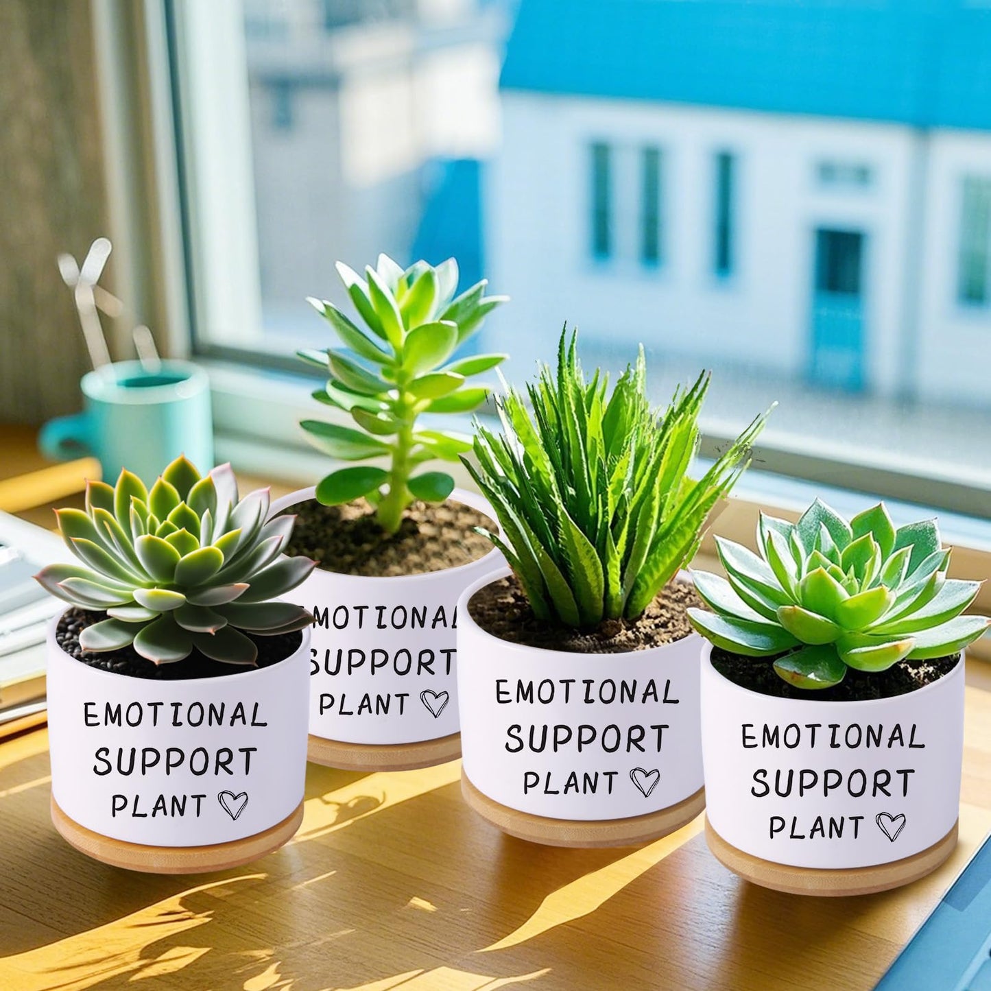 Haooxinwei Funny planters for Indoor Plants, for Planter Lover,Indoor Plants Garden Planters Succulent Pots, with Drainage Holes and Saucer(No Plants) (Emotional Support Plant)