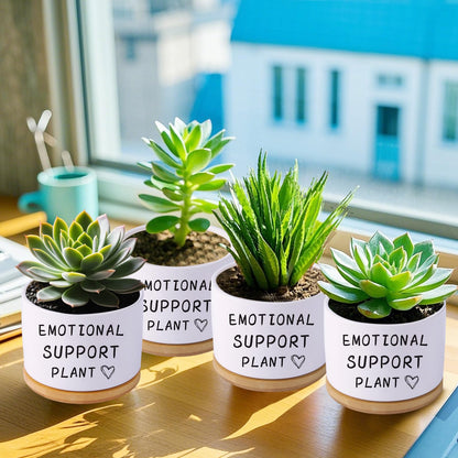 Haooxinwei Funny planters for Indoor Plants, for Planter Lover,Indoor Plants Garden Planters Succulent Pots, with Drainage Holes and Saucer(No Plants) (Emotional Support Plant)