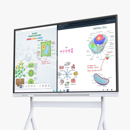 NEWORK Smart Board, 75" Interactive Whiteboard with Google EDLA, Built-in Digital Whiteboard, Wireless Casting, Split-Screen & Unlimited Canvas for Business and Education (Wall Mount Included)