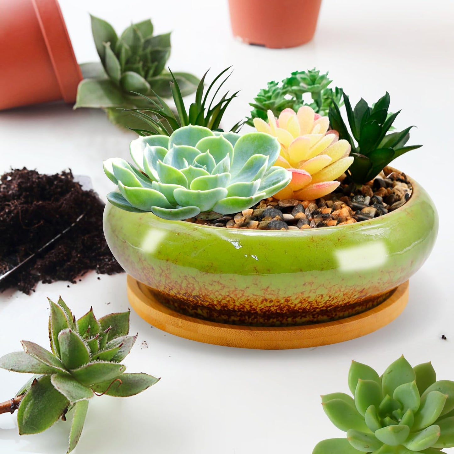 MDEOOSKY 6.14inch Round Pot with Dragon Hole, Ceramic Shallow Plant Pot Succulent Pots 18.5 * 5.8cm with Bamboo Mat