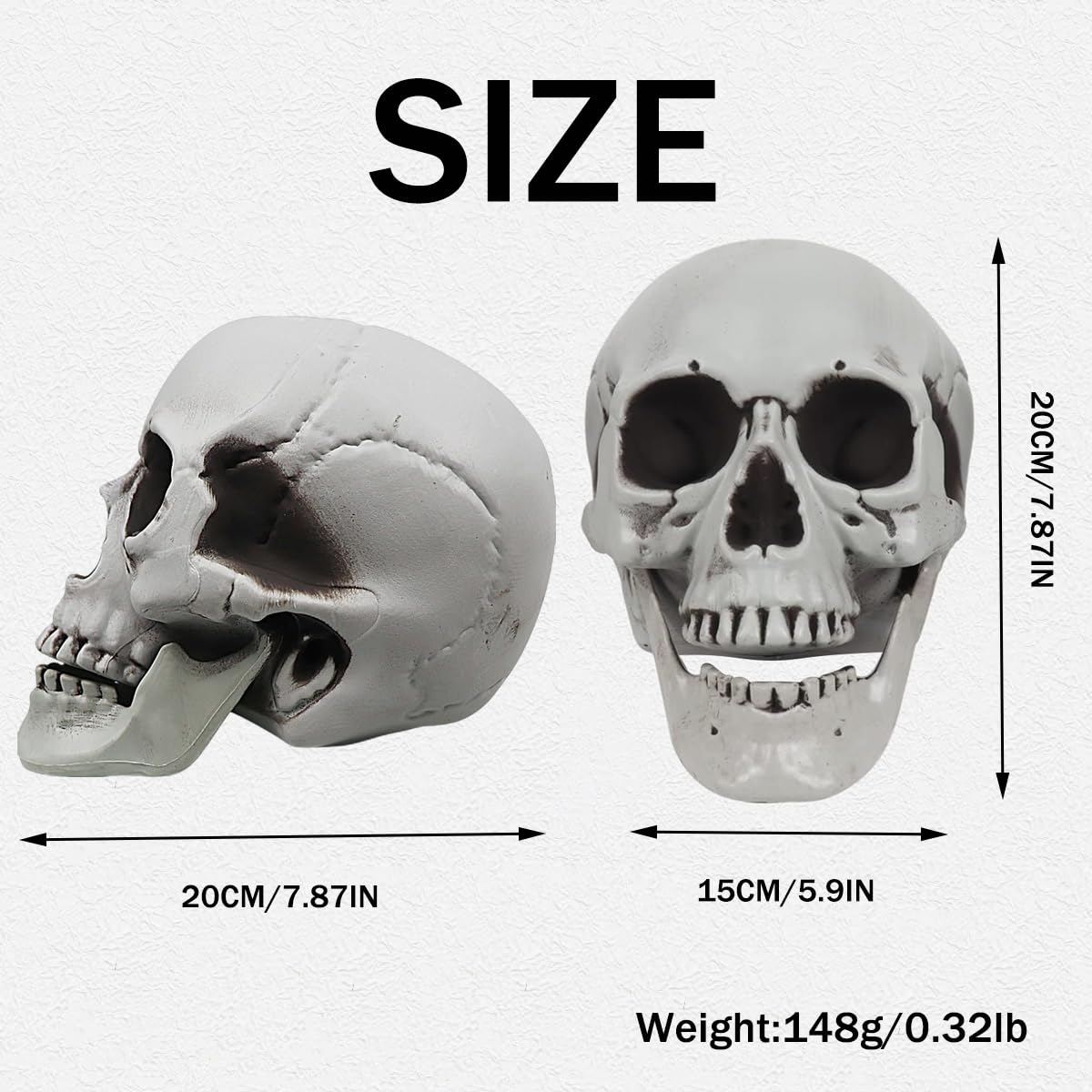 MOKRY PARTY Life Size Skeleton Skull for Halloween Decor Graveyard Outdoor White