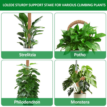 LOLEDE 4 Pack Moss Pole, 27.5 Inches Bendable Coco Coir Poles Monstera Plant Support for Climbing Indoor Plants, DIY Plant Stakes Kit Support for Pothos, Philodendron,Potted Plants