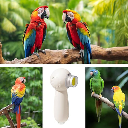 Bird Nail Grinder, Electric Parrot Beak Trimmer, 6 Grinding Heads Tool, 5.12x3.15x1.97 Inches Low Noise Rotary File, 1 Set White Usb Rechargeable, Bird Care for Cockatiel Hamster Small Pet Grooming