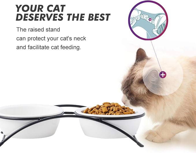 Cat & Dog Bowls - Ceramic Elevated Pet Raised Cat Food Bowls, 12 Ounce, Dishwasher Safe