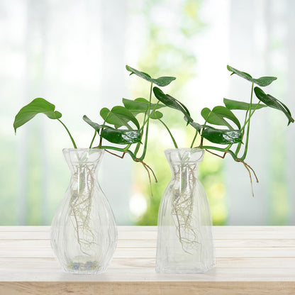 Abaodam Creative Hydroponic Glass Vase Set 4pcs Small Desktop Decorative Terrarium Vase Holders for Home Décor and Plant Display