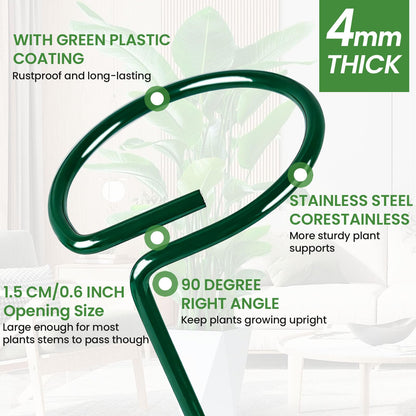 Plant Support Stakes 6 Pack, 12/24/36 Inch Heavy Duty Metal Plant Stakes, Adjustable Garden Plant Support Cages/Rings for Outdoor Indoor Plants, Plant Stick Support for Amaryllis Tomato Peony Orchid