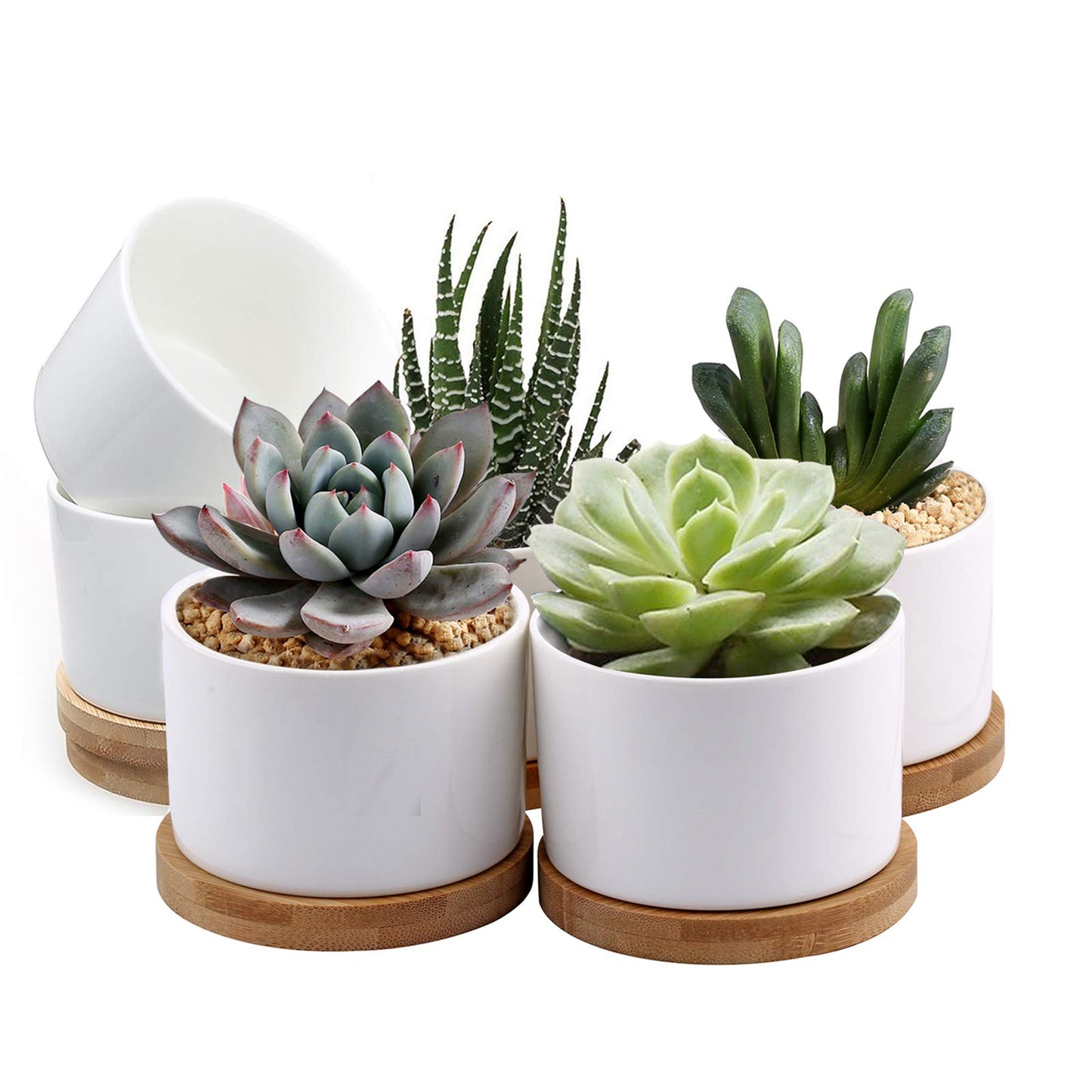 ZOUTOG Succulent Pots, White Mini 3.15 inch Ceramic Flower Planter Pot with Bamboo Tray, 2.5 inch Square Pattern Ceramic Planters, Plants Not Included