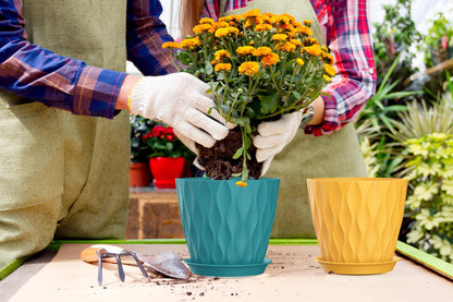 SQKH 7 Inch Plant Pots 5 Pack, Flower Planters with Drainage Holes and Trays,Plastic Pots for Indoor Outdoor Plants,Multicolor