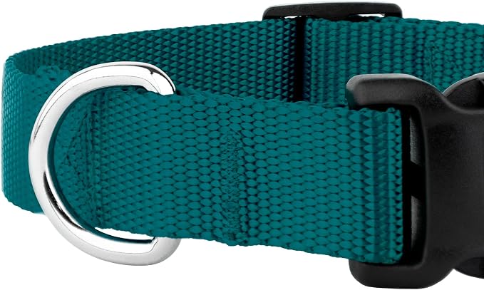 Country Brook Petz - Everyday Nylon Dog Collar and Leash - 10+ Cool Colors (3/4 Inch, Medium, Teal)