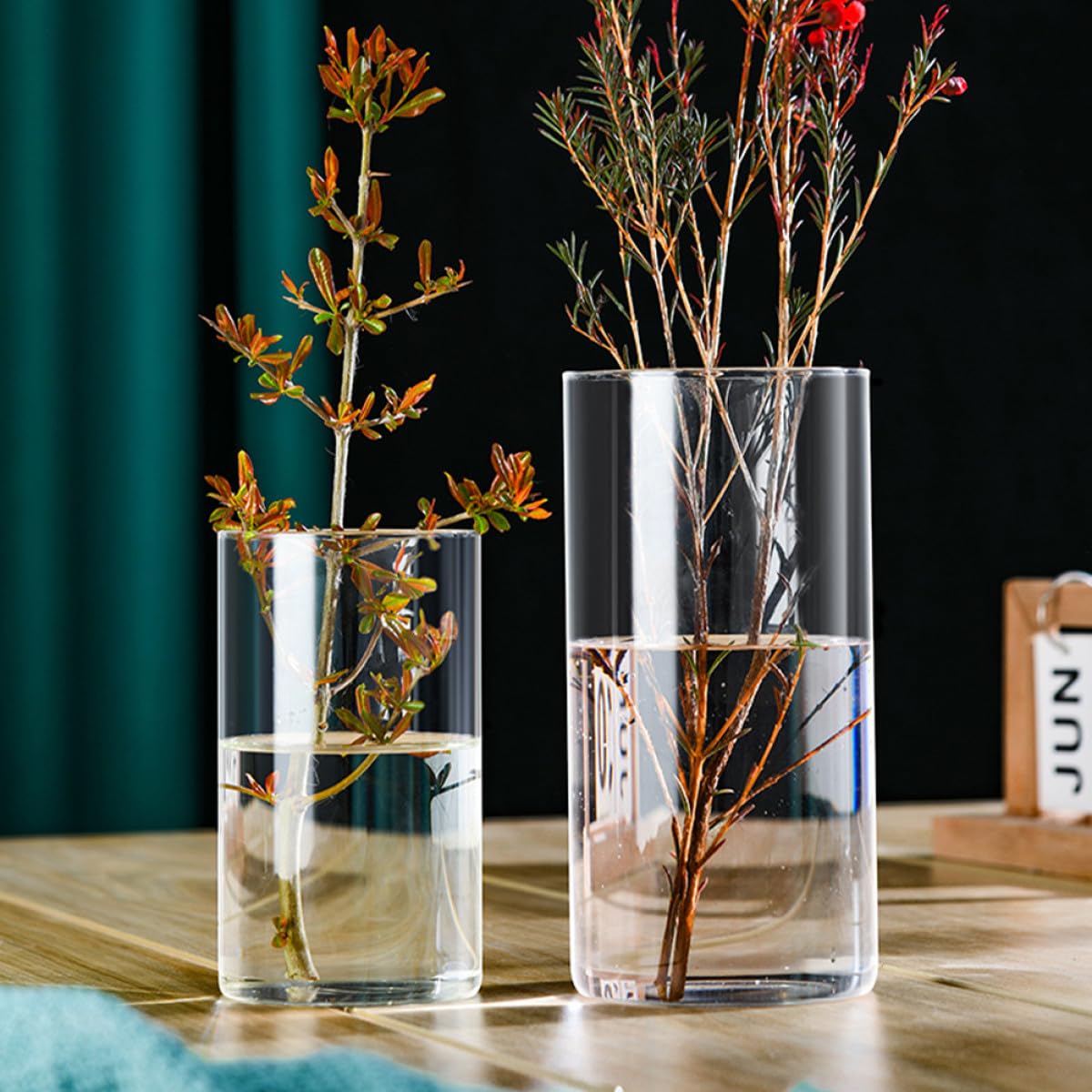 FOMIYES Glass Flower Vase Hydroponic Terrarium Vase 10cm X 25cm High Borosilicate Glass for Indoor Plant Propagation and Floral Arrangements