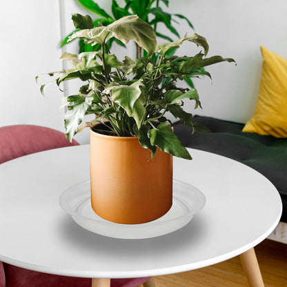 TNTIWQ 12 Pack 10 Inch Round Plant Saucers for Less 8 Inch Pot Indoors Outdoors Plant Trays for Pots Planter Saucer Plastic Drip Tray Planter Water Tray (Clear, 10"(12pcs))