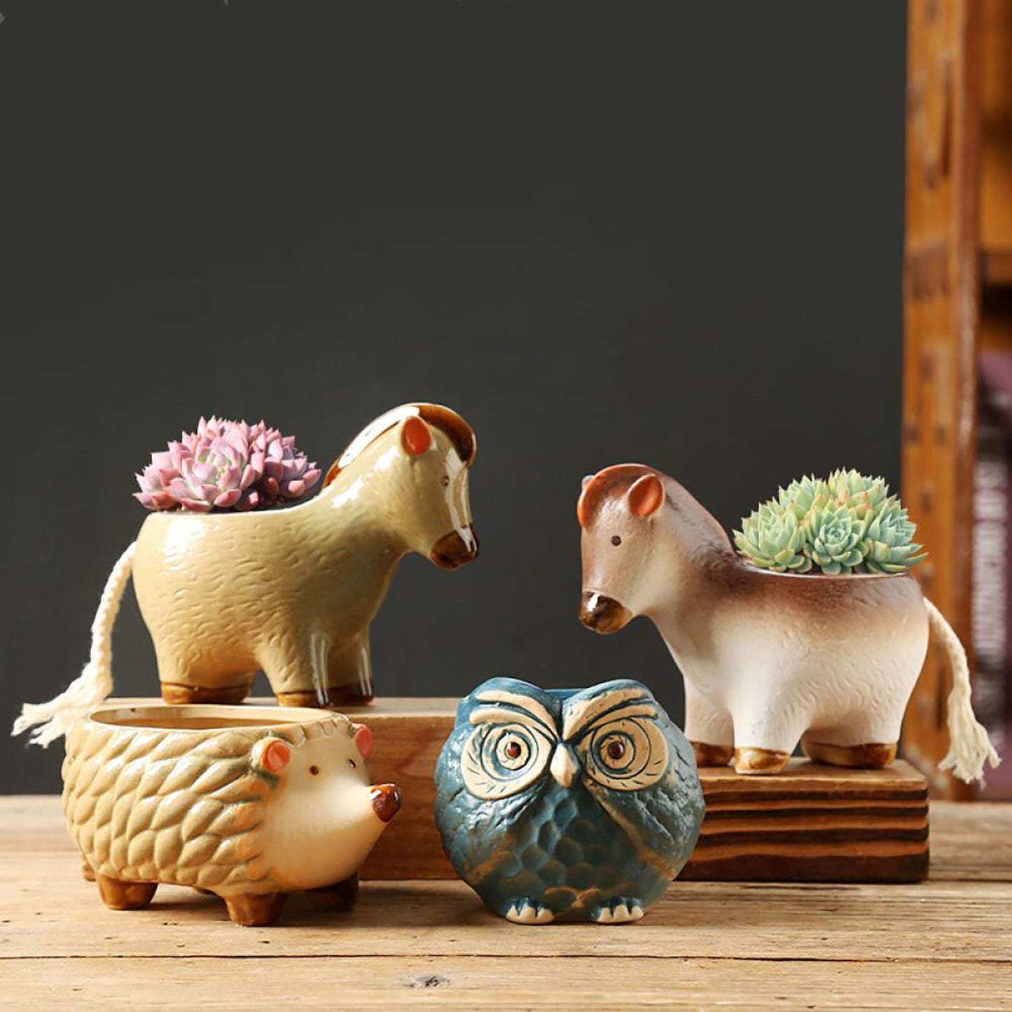Gaolinci Cute Animal Shaped Ceramic Succulent Cactus Flower Pots (Plant Not Included) (Small, Hedgehog)