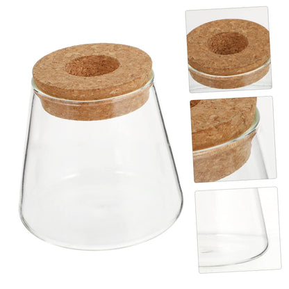 Ipetboom 2Pcs Glass Hydroponics Vase for Desktop Plant Propagation Home Decoration Terrarium Planter with Smooth Finish Stylish Glass Bottles for Floral Arrangement and Gift Ideas