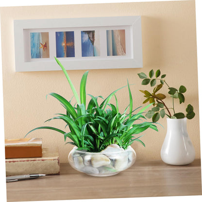 Mikikit Glass Fish Bowl Hydroponic Plant Pot for Cacti Clear Desktop Aquarium Vase for Betta Fish Terrarium Tank for Home Decor Office Use